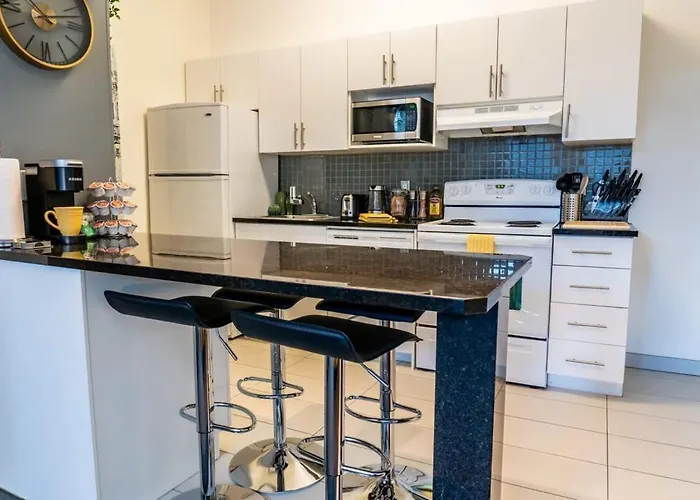 New Listing Luxurious Downtown Loft Heated Parking Rooftop Patio Bbq Gym Coffee