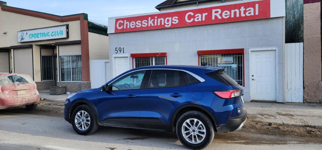 Chesskings - Unit 1 Apartment Winnipeg