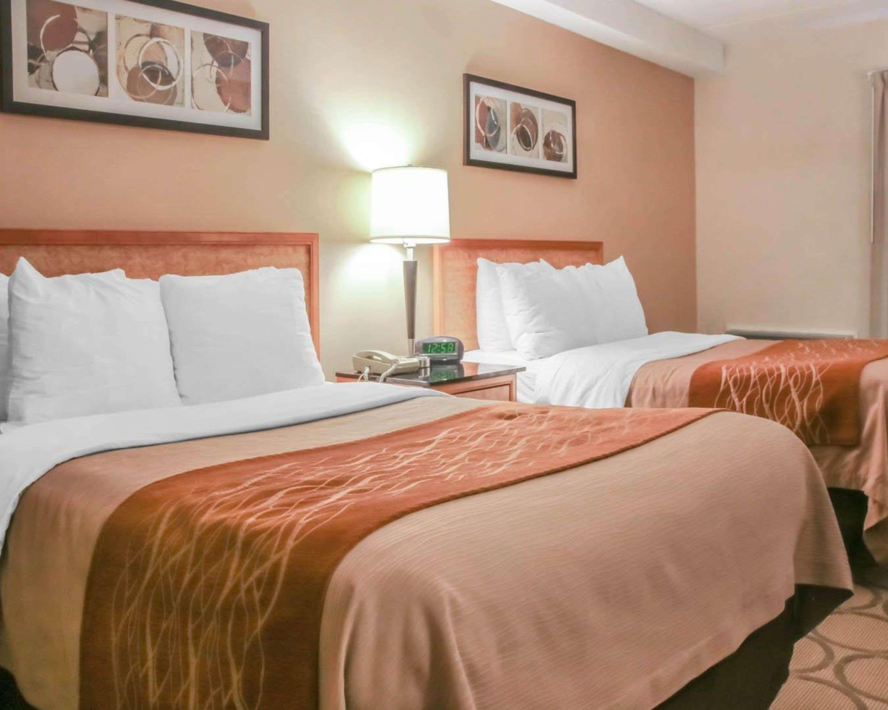 Comfort South Inn 3*
